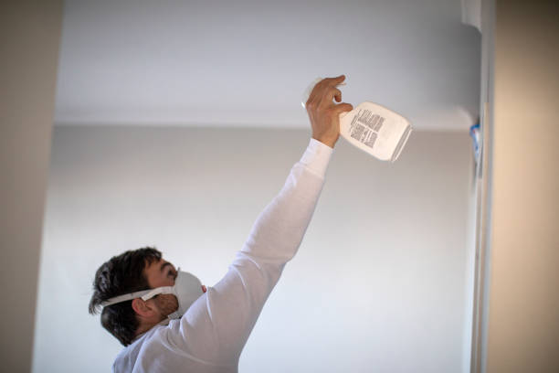Best Emergency Mold Remediation in Wrightsville, GA