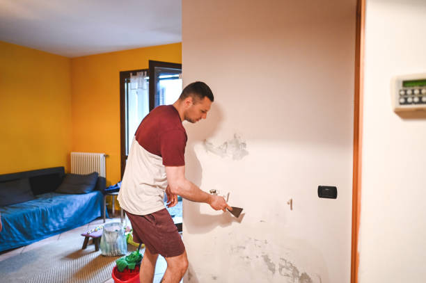 Best Mold Testing and Inspection Services in Wrightsville, GA